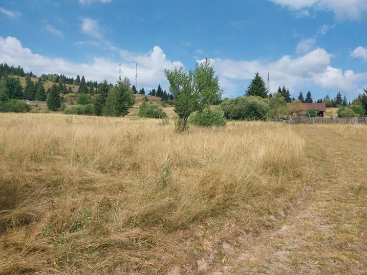 Spațiu comercial, în Sângeorgiu de Mureș