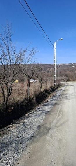 Spațiu comercial, în Podgoria