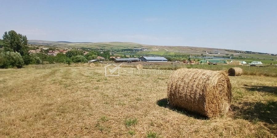 Casa in Comsesti cu teren intravilan 1800mp, acces bun - 6
