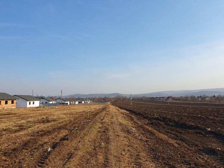 Teren de 1624 mp, în Holboca