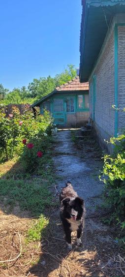 Teren de 1550 mp, în Colceag
