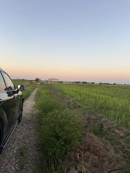 Teren de 1000 mp, în Odăi