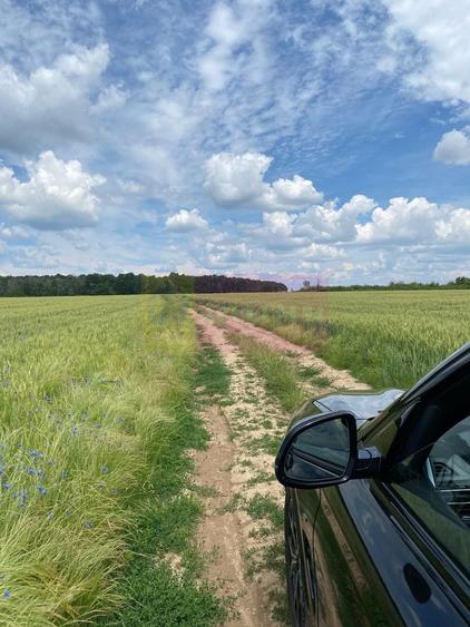 Teren agricol extravilan de 62600 mp, în Albota