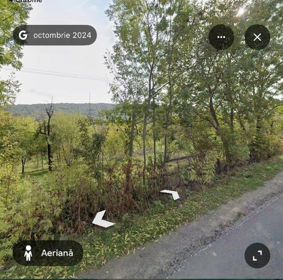 Teren extravilan de 1491 mp, în Buciumeni