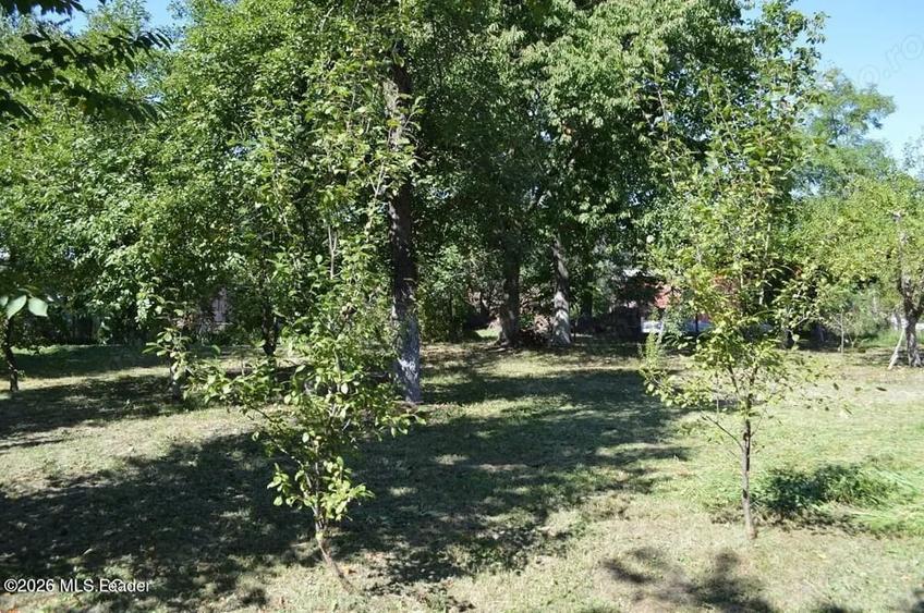 Casă cu Teren 1339 Mp în Central