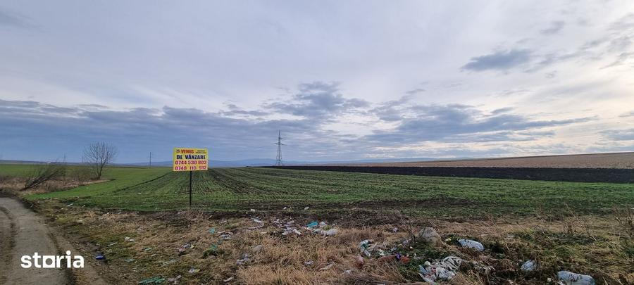 Teren de 5400 mp, în Bălușeni