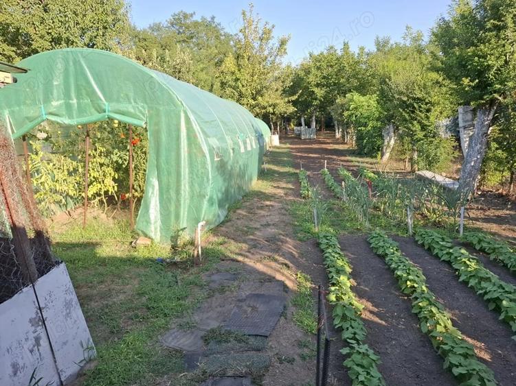 Casă cu 3 camere cu Teren 200 Mp în Chitila