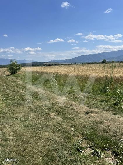 Teren 720 mp Sevis | 23 m front | Oportunitate investitie 24.480 - 4
