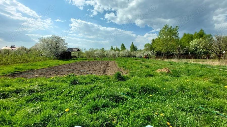 Teren de 5000 mp, în Pietroasa
