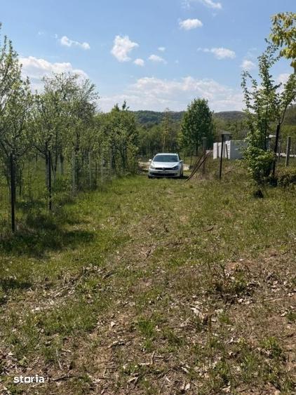 Teren de 1400 mp, în Fărcașa