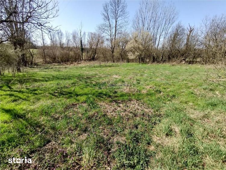 Rachitova, Casa 8 Incaperi, 3800mp Teren, Usor Negociabil - 15
