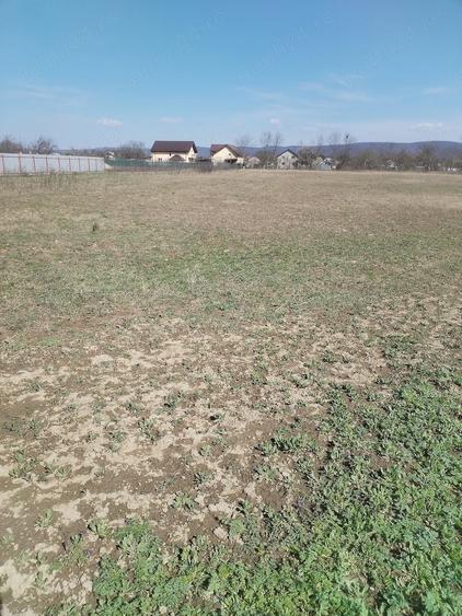 Teren de 5500 mp, în Ruși-Ciutea