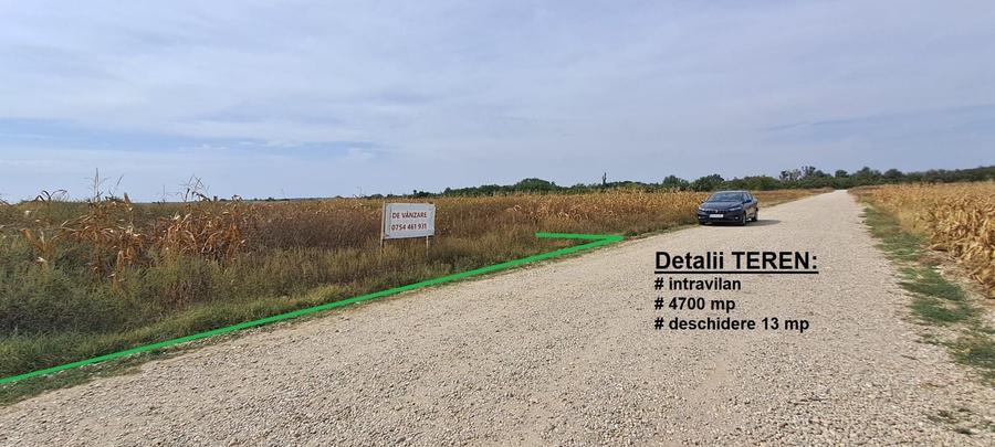 Teren Construcții intravilan de 4700 mp, în Palanca