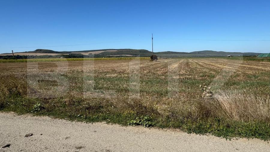 Teren Construcții intravilan de 2250 mp, în Sud