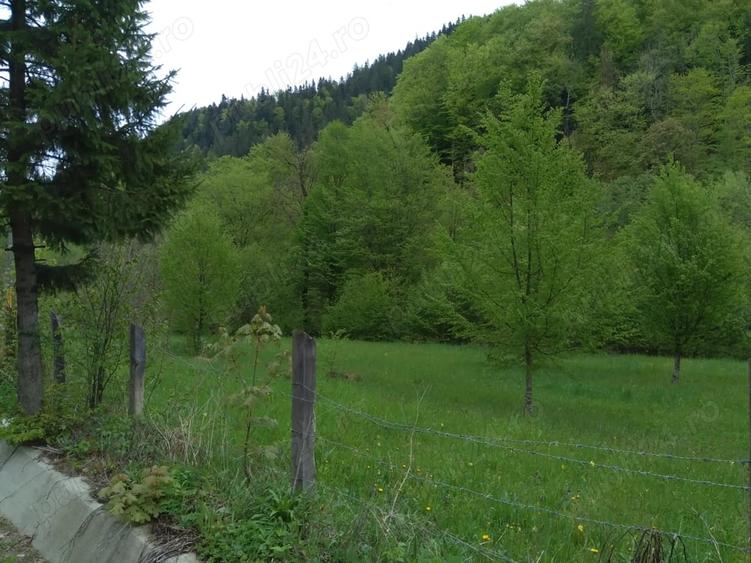 Teren de 3000 mp, în Cazaci