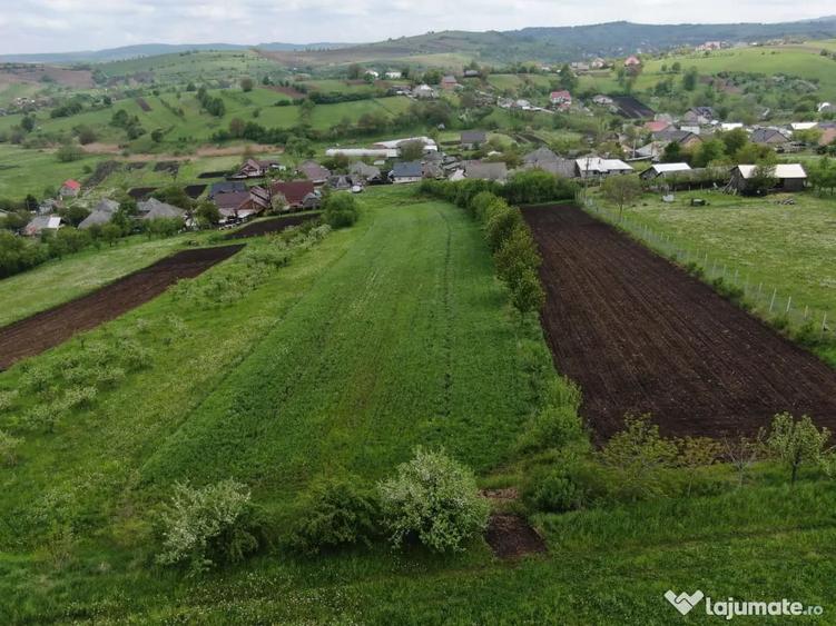 Teren de 5000 mp, în Valea Arini