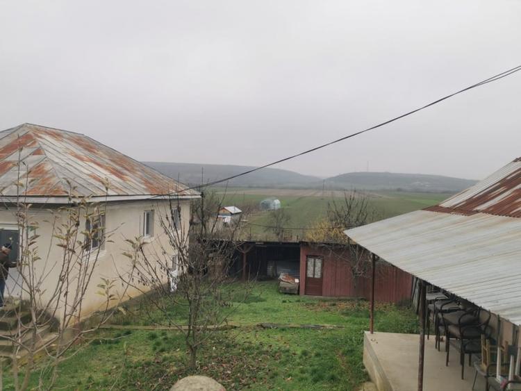 Casă individuală cu 4 camere cu Teren 7000 Mp în Argetoaia