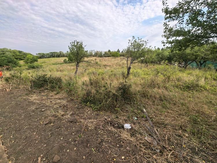 Teren Construcții intravilan de 2170 mp, în Chicerea