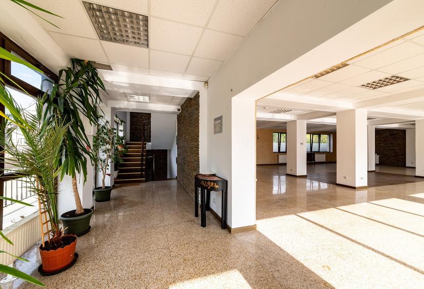 Spațiu comercial, de 760 mp, în Mogoșoaia