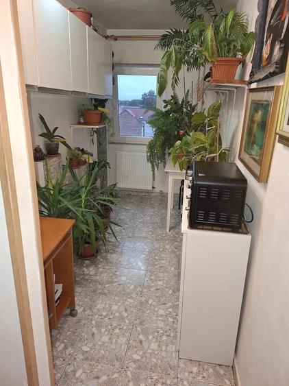 Garsonieră decomandată în Complex Studențesc