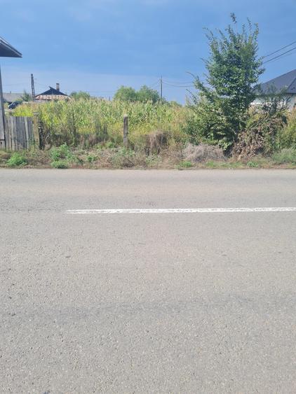 Teren de 3000 mp, în Negostina