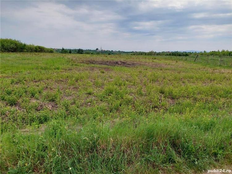 Teren de 6670 mp, în Viile Satu Mare