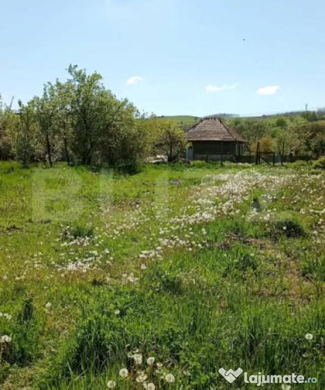 Casă cu 2 camere cu Teren 1100 Mp în Mica