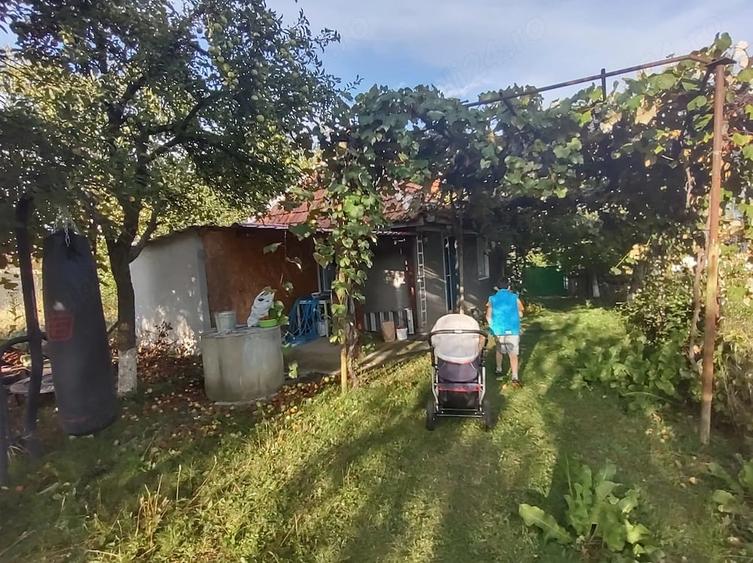 Casă cu 1 camere cu Teren 1100 Mp în Calea Mare