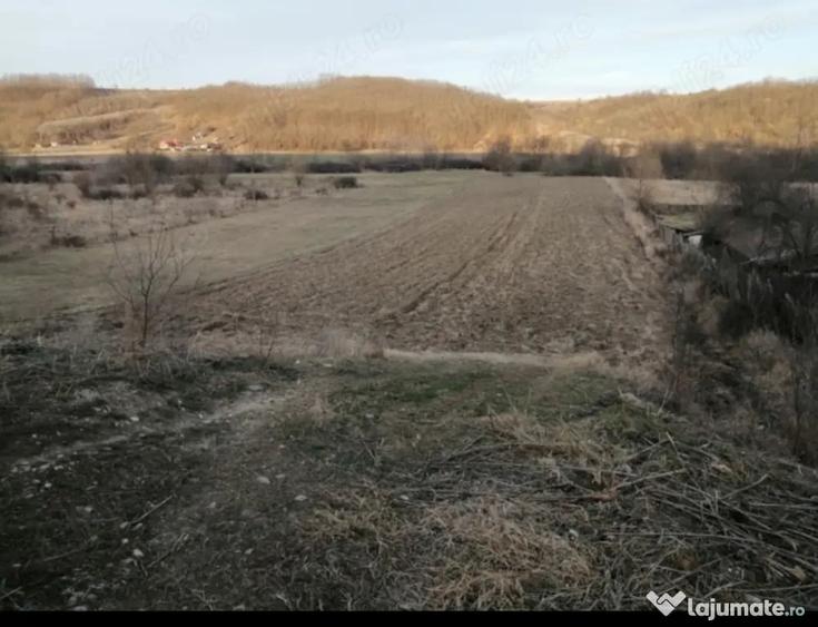 Teren de 7000 mp, în Bulzești