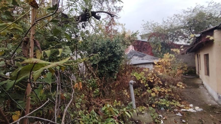 Teren în Drumul Găzarului