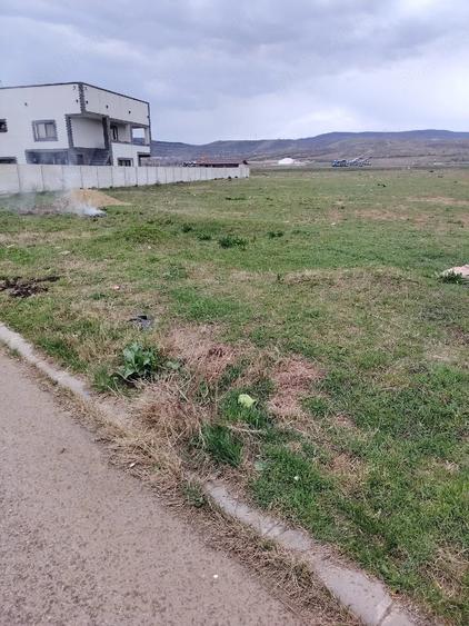 Teren de 3000 mp, în Schela