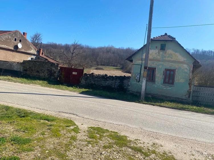 Vand casa batraneasca cu teren intravilan de 11000mp - 1