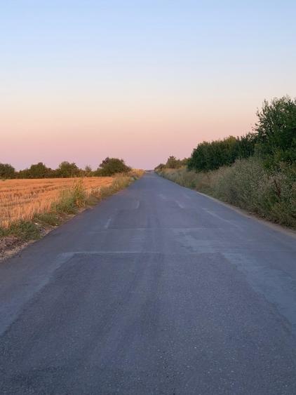 Teren Construcții intravilan de 30000 mp, în Ștefăneștii de Jos