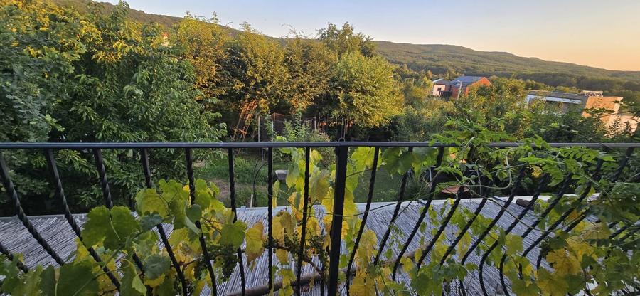 Casă individuală cu 5 camere cu Canalizare în Făget