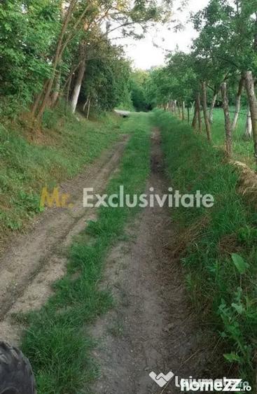Teren de 12421 mp, în Central