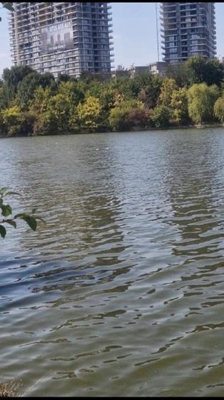 Casă individuală cu 5 camere cu Canalizare în Tei