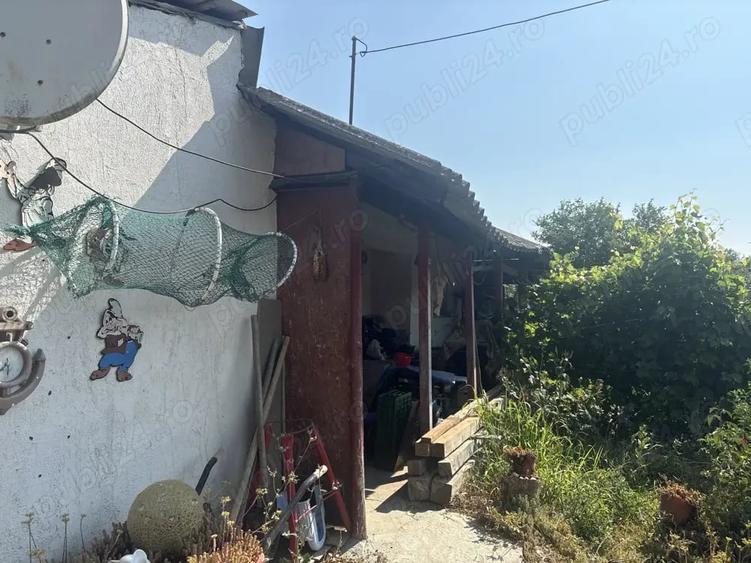 Casă cu 3 camere cu Teren 4000 Mp în Central