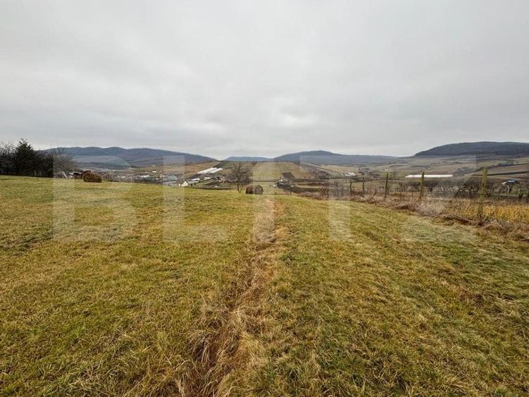 Teren Construcții intravilan de 4000 mp, în Sigmir