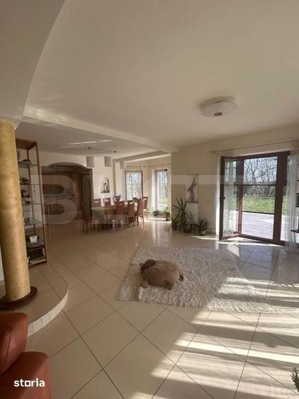 Casă cu 6 camere cu Teren 3982 Mp în Remetea Mare