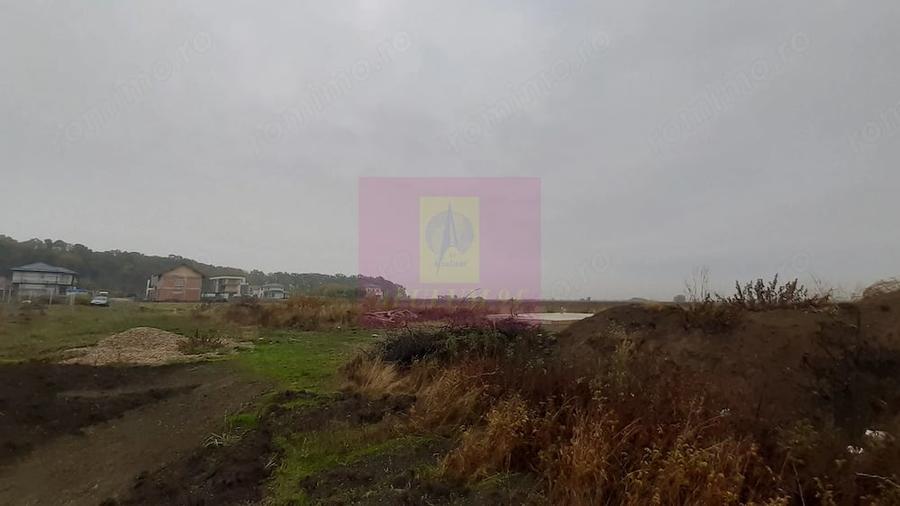 Teren de 5000 mp, în Corbeanca
