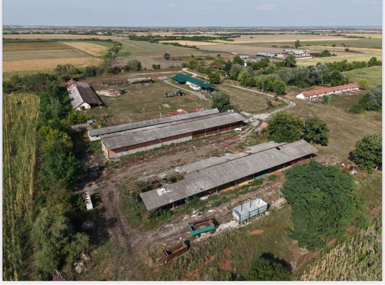 Spațiu industrial, de 1,000 mp, în Periferie