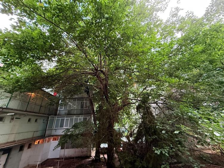 Apartament 2 camere Primaverii 10 min Herastrau - 1