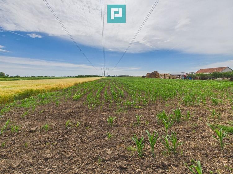 Teren agricol extravilan de 10000 mp, în Gai