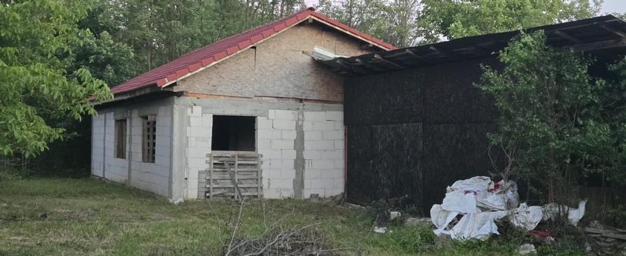 Casă individuală cu 2 camere cu Teren 7769 Mp în Budieni