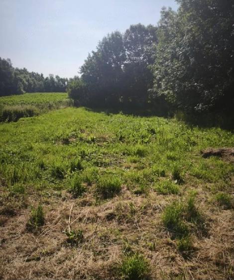Casă cu 2 camere cu Teren 5500 Mp în Frătăuții Vechi
