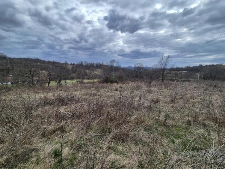 Teren de 5700 mp, în Iabalcea