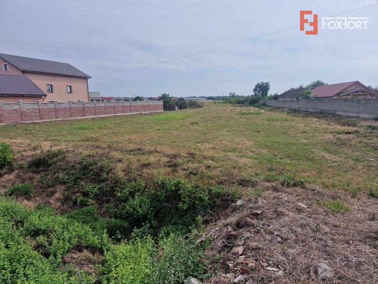 Teren Construcții intravilan de 2492 mp, în Bucovăț (Remetea Mare)