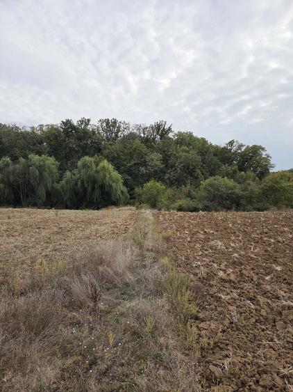 Teren de 4070 mp, în Bălteni
