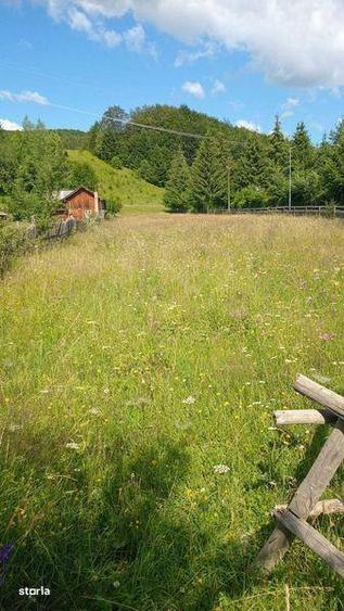 Teren de 2700 mp, în Valea Doftanei