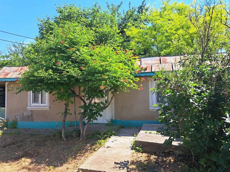 Casă cu Teren 2000 Mp în Valea Nucarilor